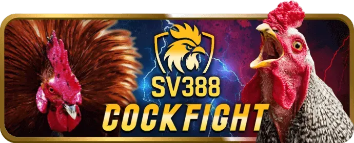 Chương trình VIP độc quyền 96vn app